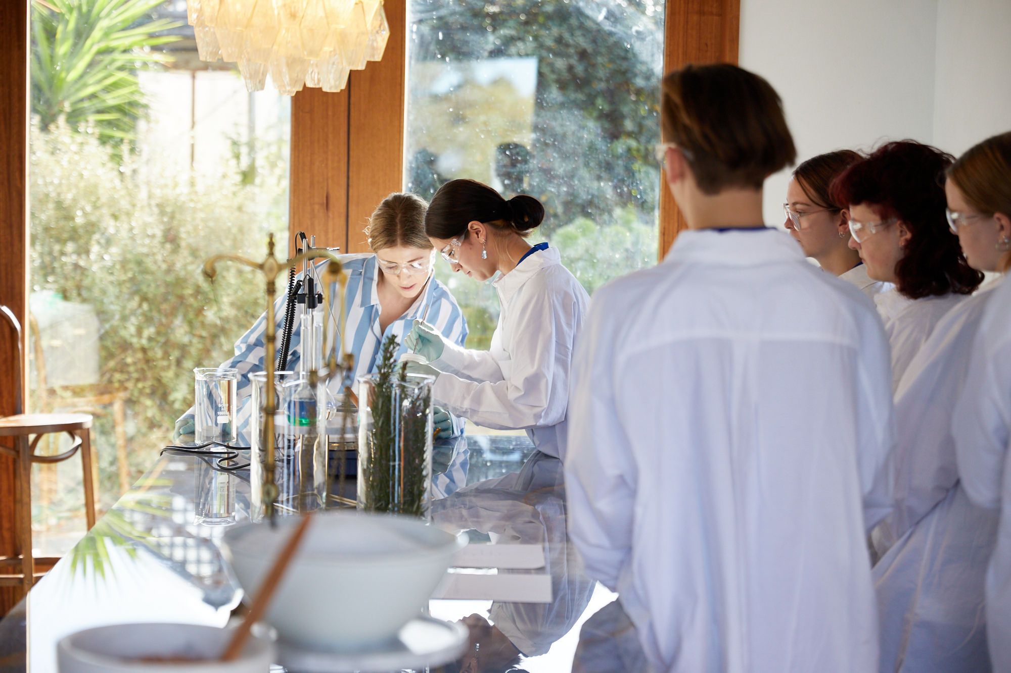 Beauty Lab in full action