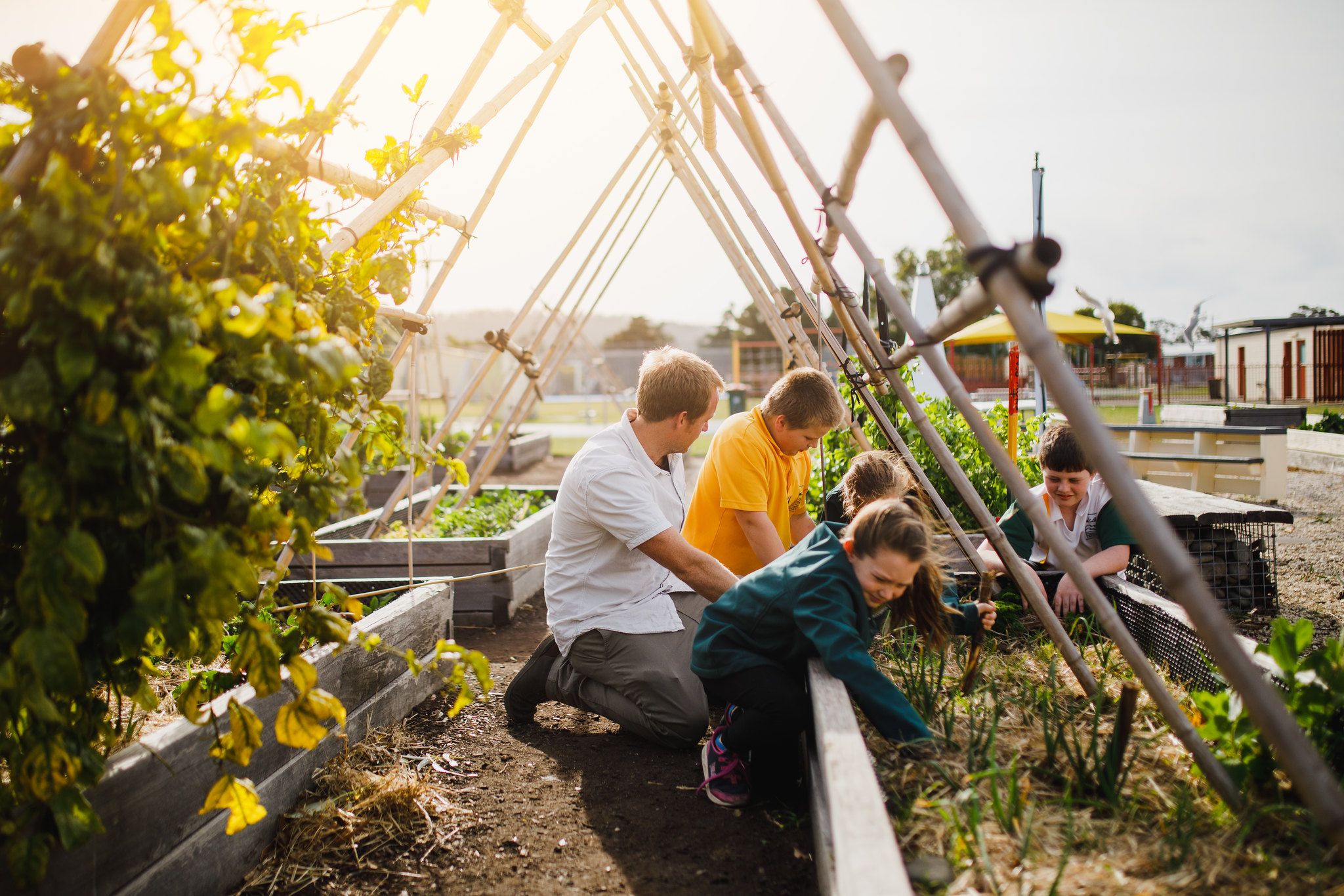 24 carrot gardens students in the garden